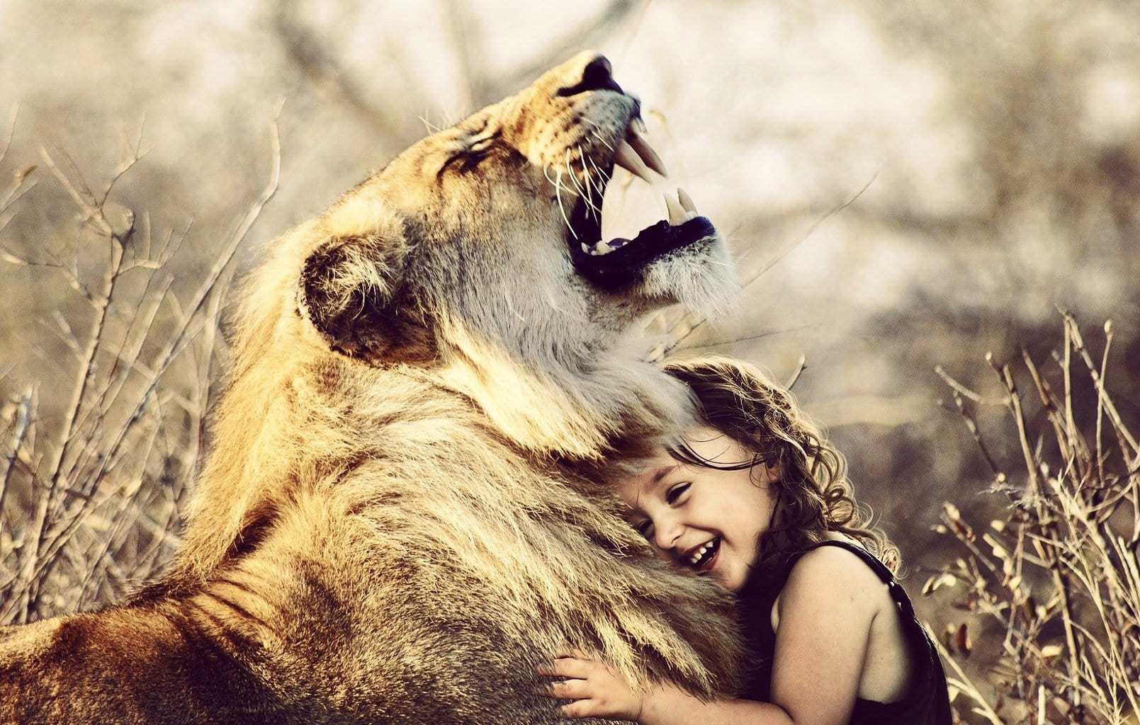 A young girl hugging a huge lion