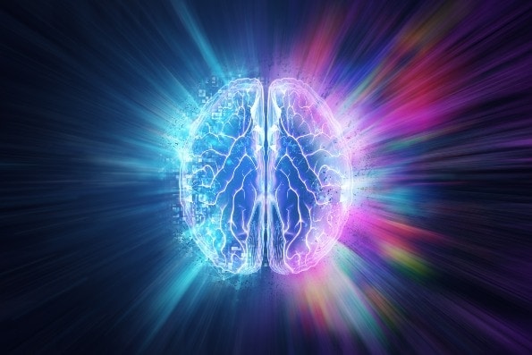 Human brain blue background both hemispheres