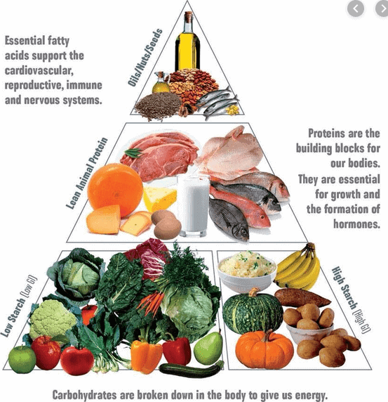 The beginner's guide to eating healthy food pyramid. The healthy one.