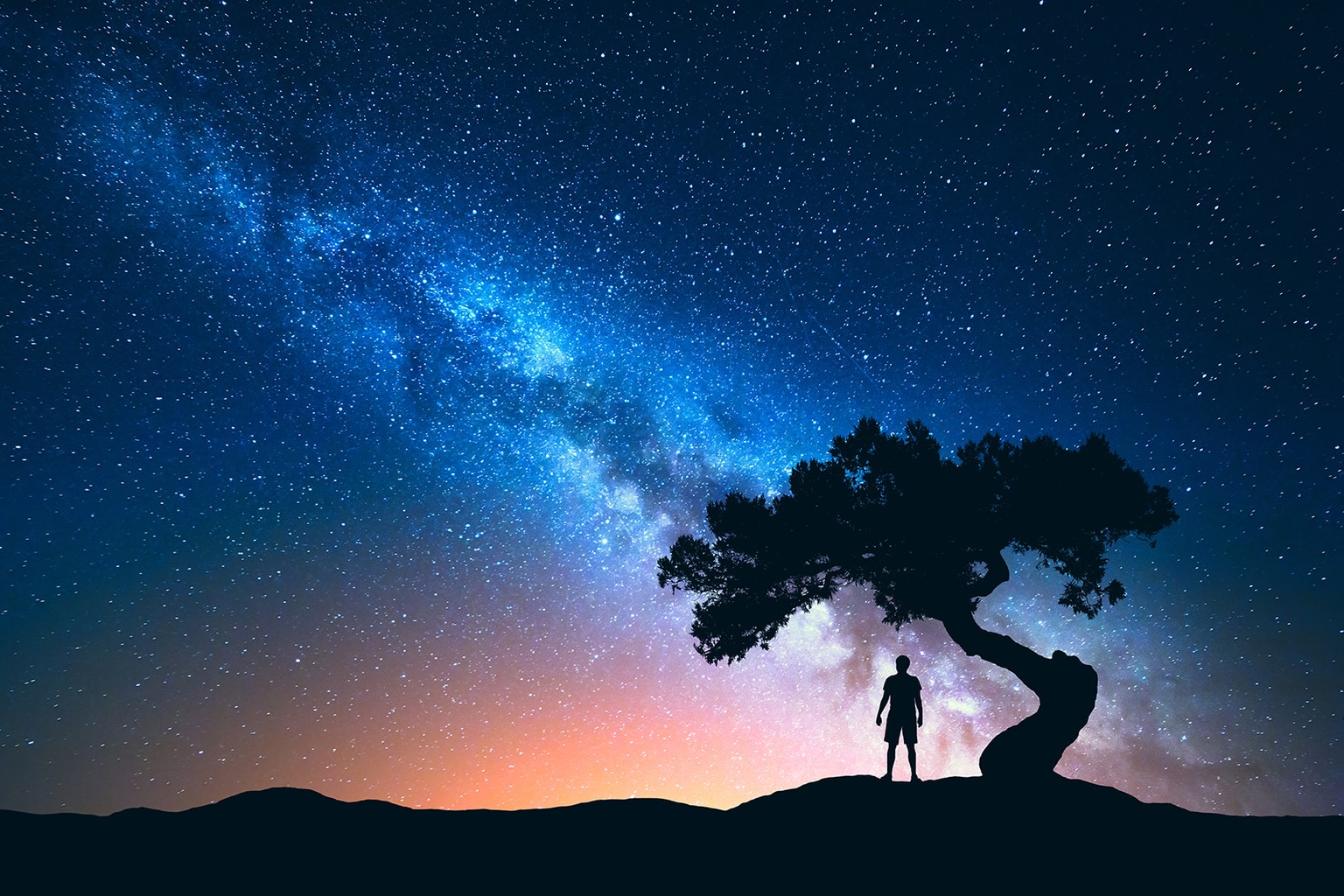 milky way tree with man silhouette
