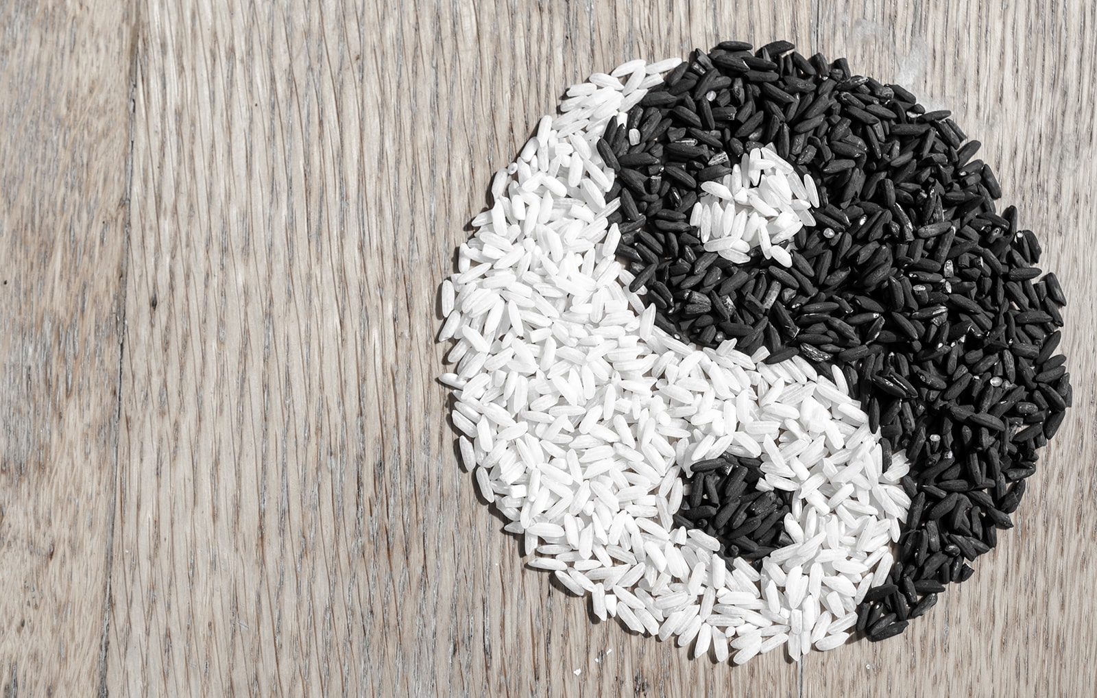 rice yin yang the principle of polarity